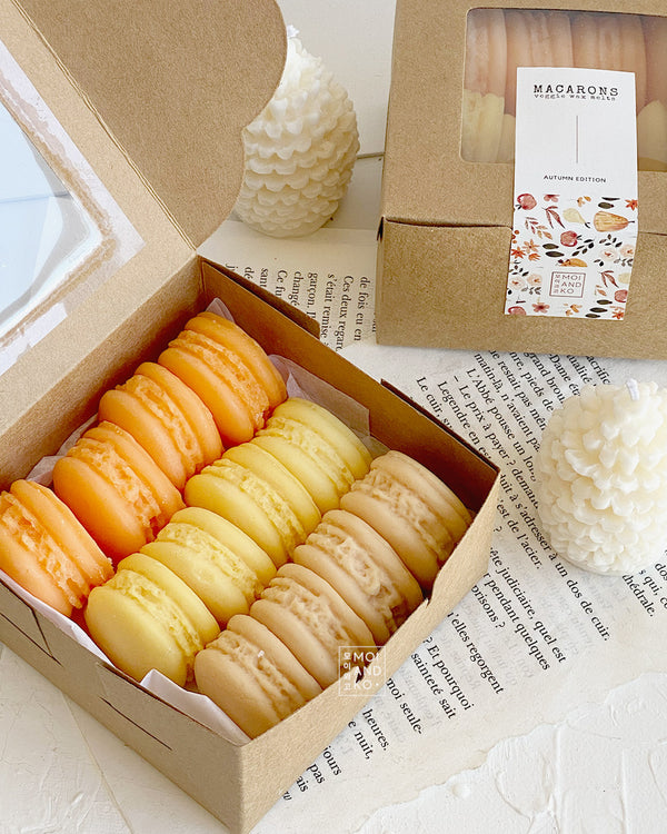Set de regalo Macarons Wax Melt Winter Edition | Colección Kawaii