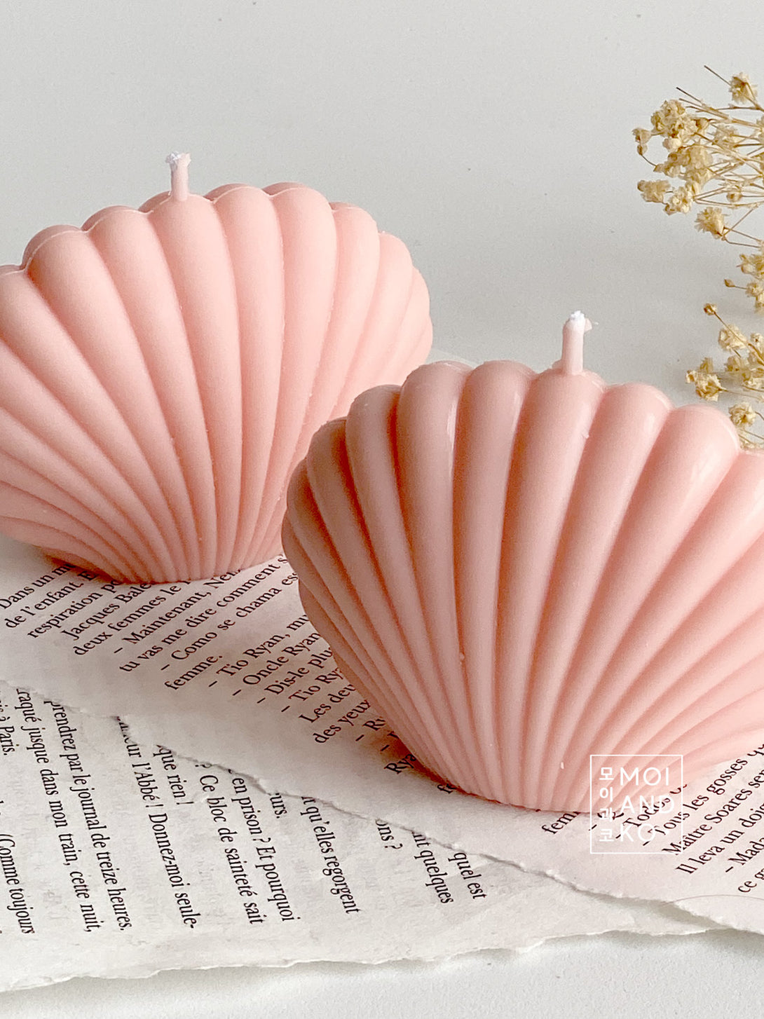 Shell Candel Soy Shell candle candles | Moi and Ko – MOIANDKO